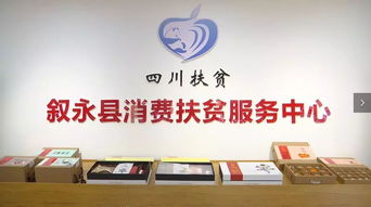 消费扶贫助力脱贫攻坚 劳务服务的创新路径与深远影响